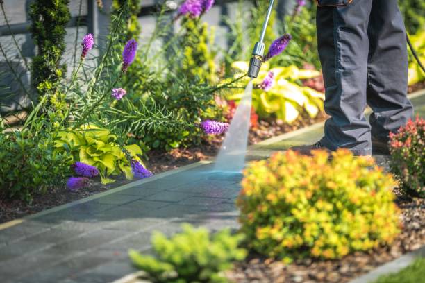 Best Gutter Cleaning  in Lemon Grove, CA